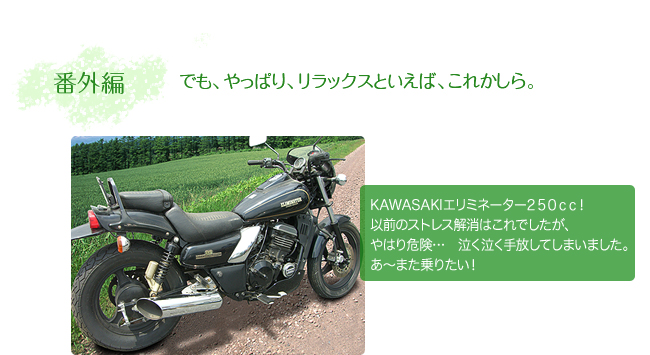 番外編 でも、やっぱり、リラックスといえば、これかしら。 KAWASAKIエリミネーター250cc！以前のストレス解消はこれでしたが、やはり危険…　泣く泣く手放してしまいました。あ〜また乗りたい！